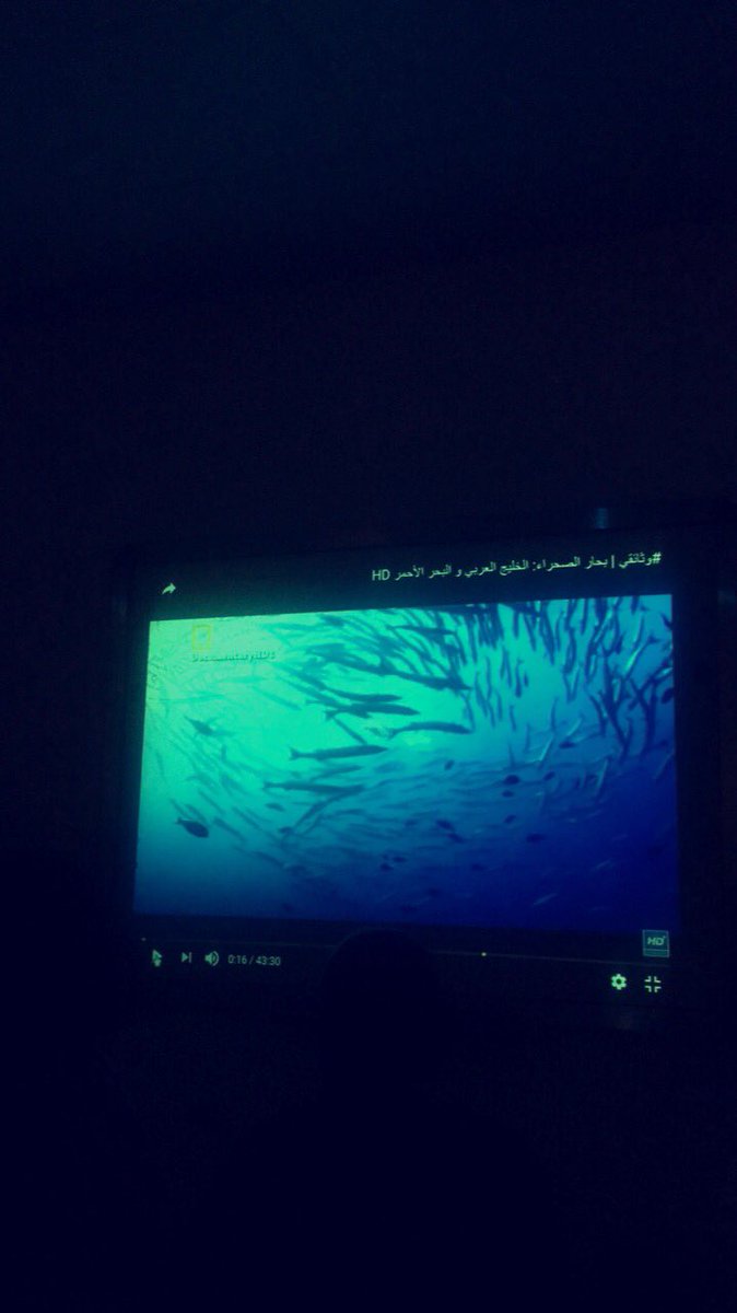 مدارس الصدارة tweet media