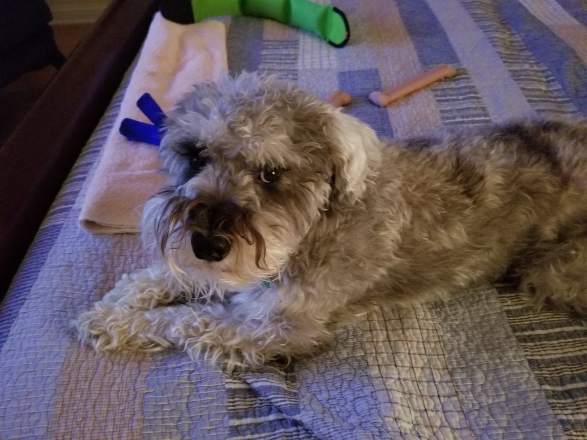 gage_toby's tweet photo. I'm trying to sleep... https://t.co/HQTh4ZWeVy