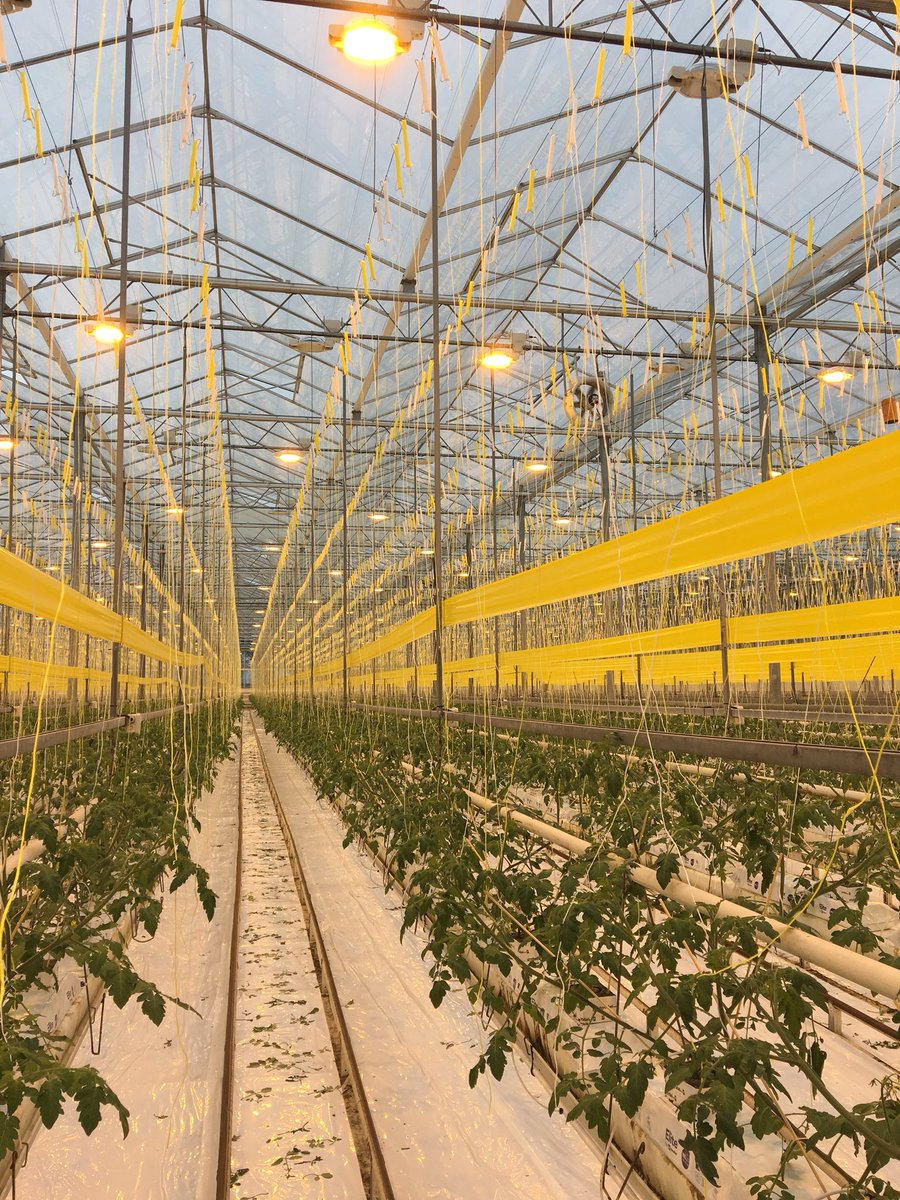 De kas staat weer vol met planten! 🌱 Bedankt <a href="/Ruimtescheppen/">BERG</a> <a href="/VanVeldhovenBV/">Van Veldhoven BV</a> @PlkwVreugdenhil + natuurlijk onze eigen medewerkers! #toppers