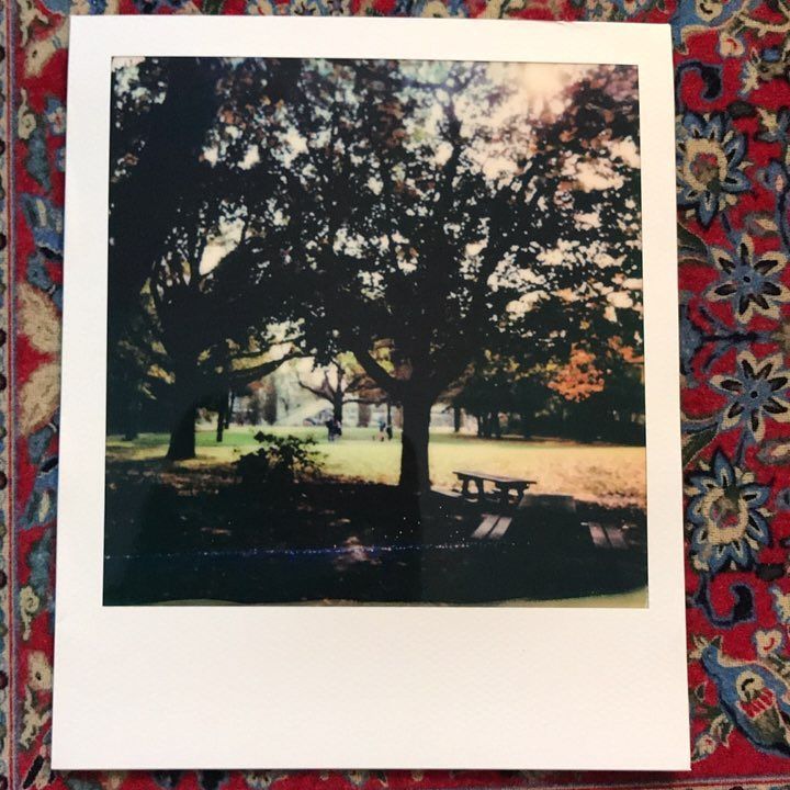 soforthorst's tweet photo. Dunkel
#herbstbäume #instax #365daysinstax #365dayschallenge #365 #soforthorst #polaroidoriginals #polaroid #onest… https://t.co/Be2YMGBw3W https://t.co/pxXBEgbHIC