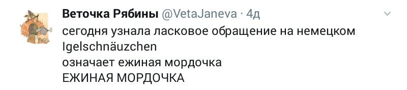 Edinorog_Frenk's tweet photo. https://t.co/7uybUQl15F