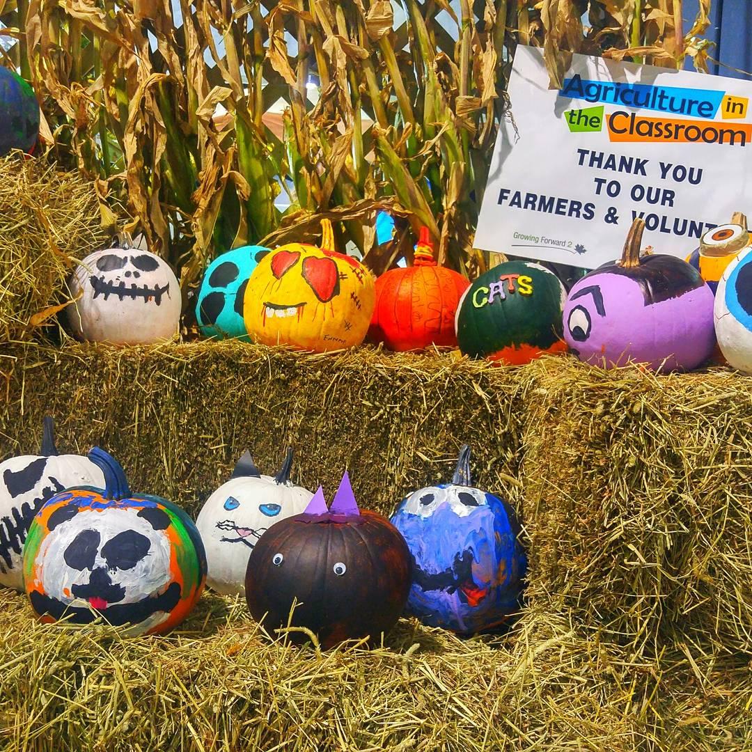 CentralNL's tweet photo. Had a blast at #AFGS2017 in @towngfw over the weekend! Such a cool event!! https://t.co/Aykz6MqUn4