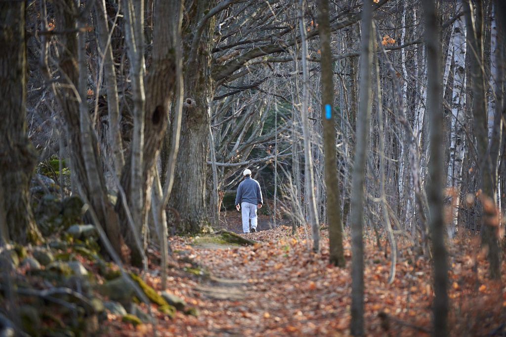OntarioParks's tweet image. When was the last time you walked into the woods with no plans? bit.ly/2xwvRgG #HPHP