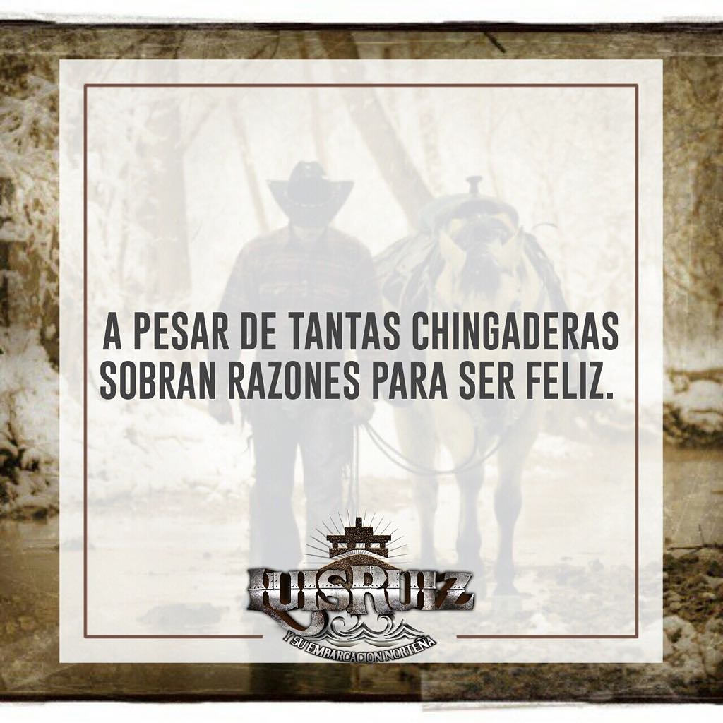 EmbarcacionDLMN's tweet photo. La frase de hoy. 😱
#LuisRuiz #LuisRuizYSuEmbarcacionNorteña #NOTEIMPORTO #HONORALOSGRANDESCONMIESTILO https://t.co/pcjz8Gu2TH