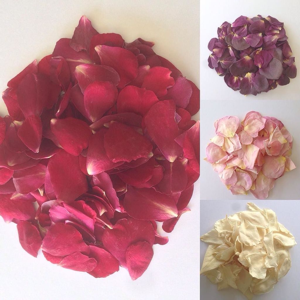 Prettypetals3's tweet photo. Which is your favourite?
#petals #petal#rosepetals #wedding #weddings #weddinginspiration #confetti #confettifun โฆ https://t.co/eBQSsFfGtx https://t.co/zfJyuy2tIZ