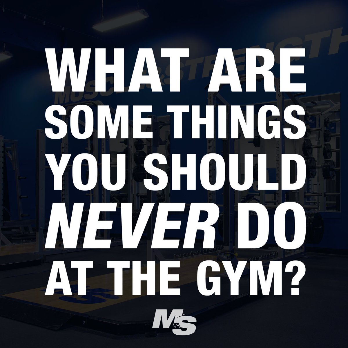 Brett's Blog Let’s hear some of your biggest gym pet