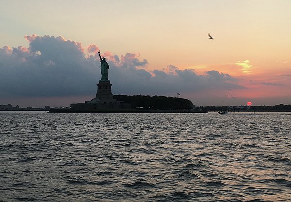 rsolay tweet picture