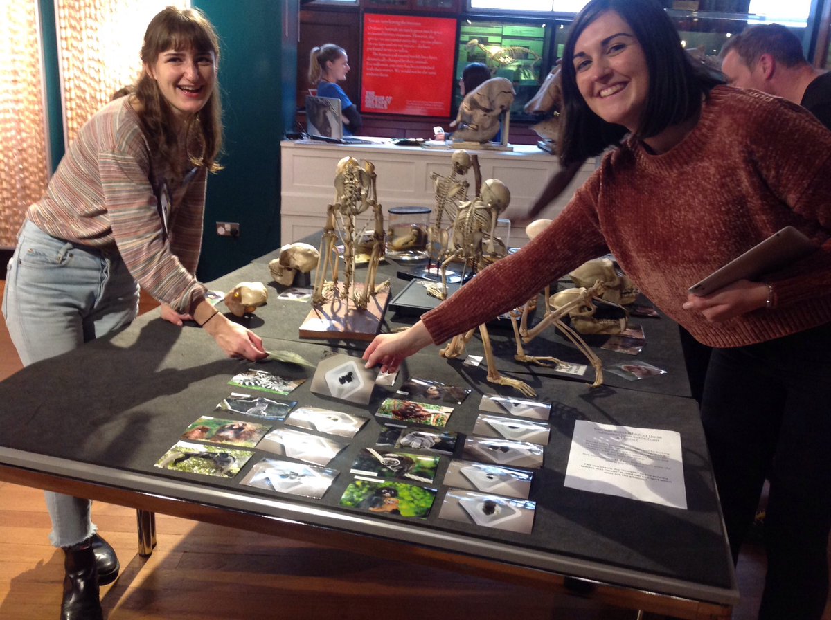 GrantMuseum's tweet photo. Guess the #gibbon poo with @UCL @ucleastman @ucl_slms PhD student @CatieWilliams & @ES_UCL student Esme #IGD2017 @IUCN_Gibbon https://t.co/l1vMIScrLv