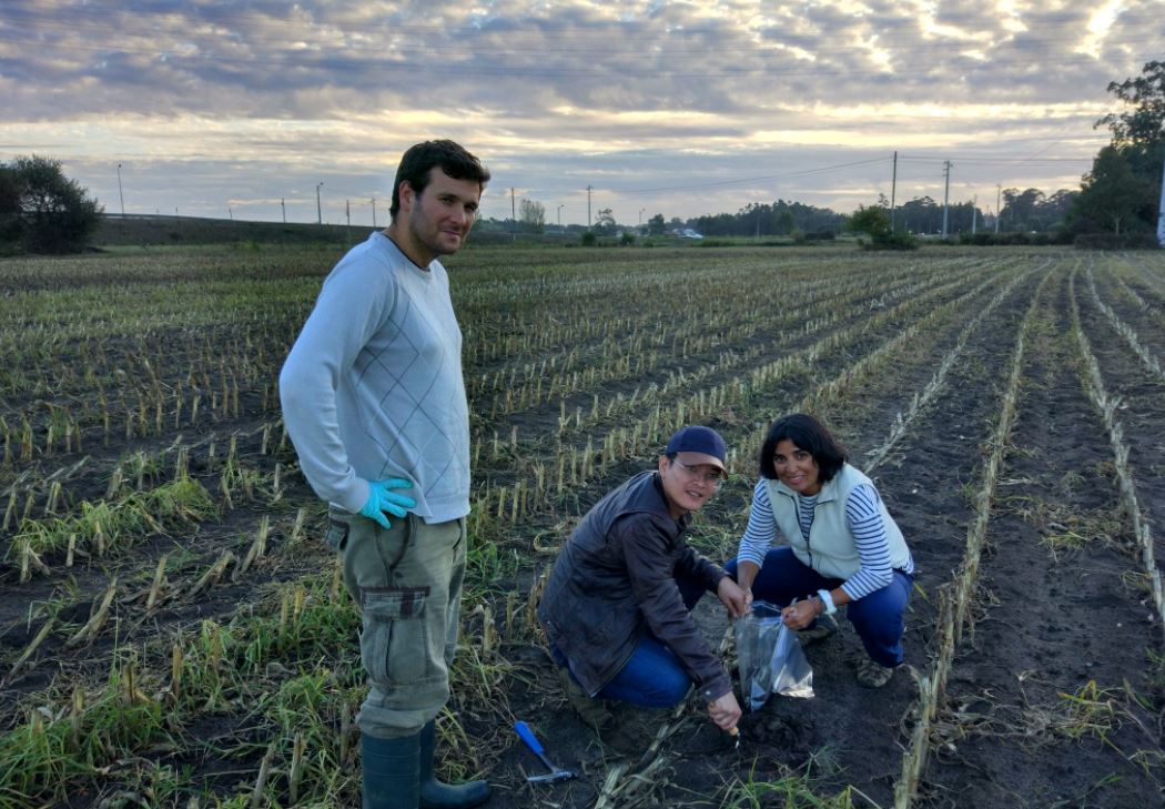 SoilTakeCare tweet media