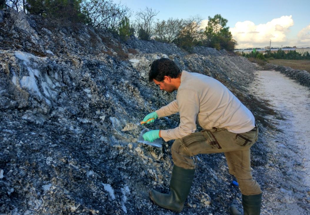 SoilTakeCare tweet media