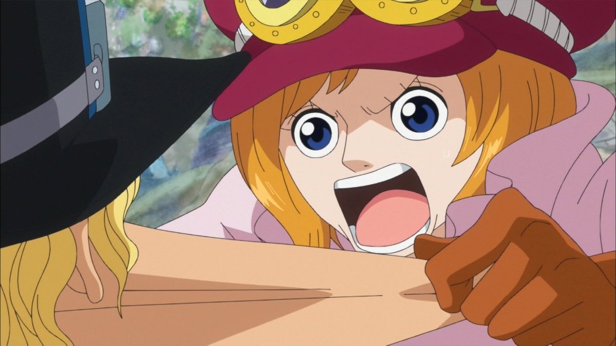 嘲笑のひよこ すすき 本日10月25日は One Piece の革命軍魚人空手師範代 コアラの誕生日 おめでとう Onepiece ワンピース コアラ生誕祭 コアラ生誕祭17 10月25日はコアラの誕生日