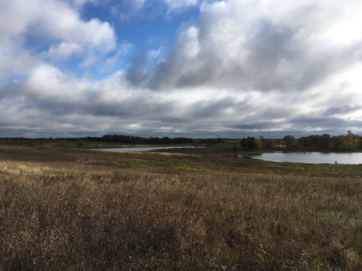 In case you didn't know, you own some amazing property here in WI. #publiclandowner #hunting #outdoors #publiclands