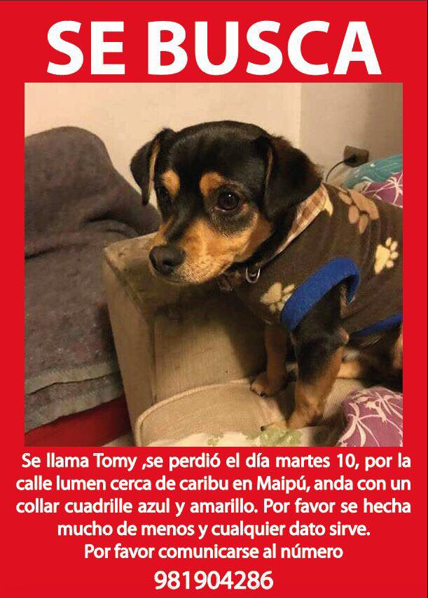 #extraviadosensantiago #maipu