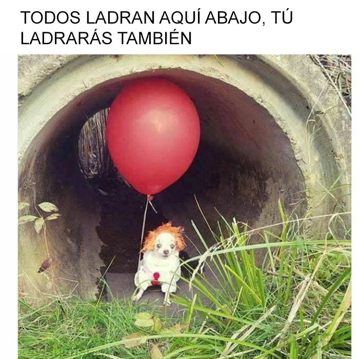 yisucrist's tweet photo. no sé si podré dormir oi dspués d ver esto https://t.co/6g8p6OIheB
