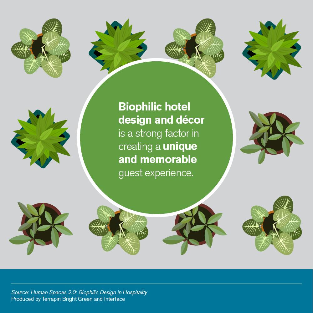 human_spaces's tweet photo. #BiophilicDesign in a hotel lobby means guests will want to spend longer there. That's good hospitality: https://t.co/3EgEvhCZez https://t.co/PNjL44KJO5