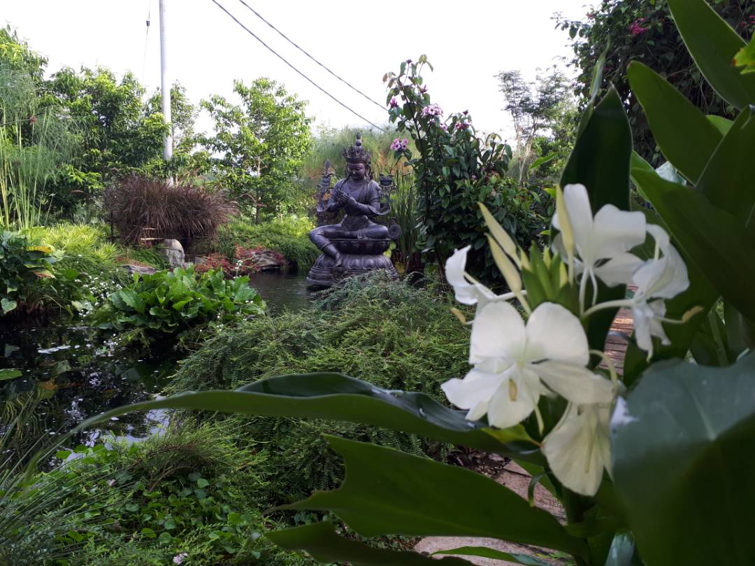 SivaShrestha2's tweet photo. #Buddhism 
#Buddha 
#religion
#wisdom
#peace
#choice
#blossed
#faitu https://t.co/s68z5EtA0y