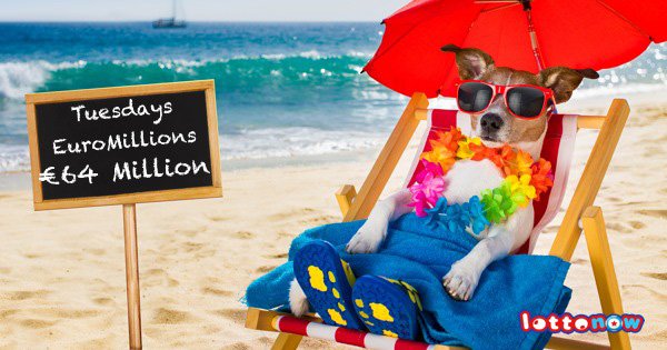 LottoNowCom's tweet photo. Don´t miss out on tonight´s EuroMillions jackpot.....it´s a scorcher!!!!
https://t.co/EnlNThSI4E https://t.co/Cosdfn69q1