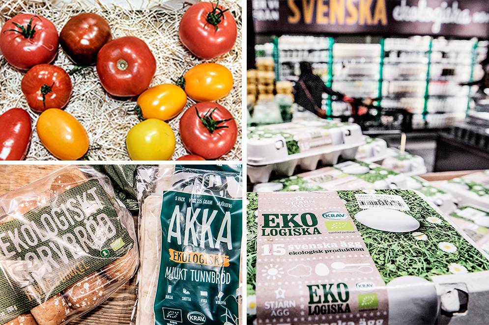 Var har regeringen sina lojaliteter? skriver representanter för ett flertal organisationer i en slutreplik om ekomat
svd.se/var-har-regeri…