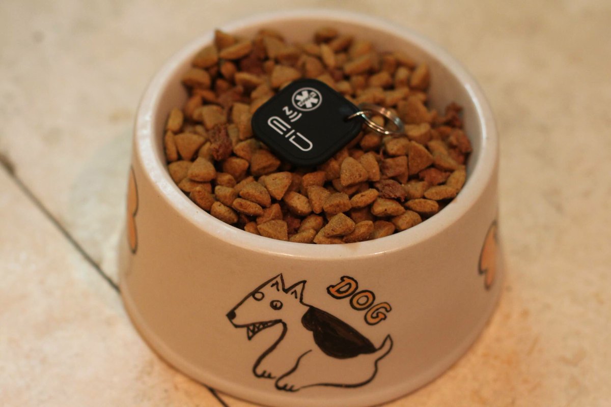 EndlessPetID's tweet photo. Good health involves a lot of aspects, not just food. Keep your pet safe with our #EndlessPetID #HighTechTag 🐾 🐾 https://t.co/FhHRwrxqGd