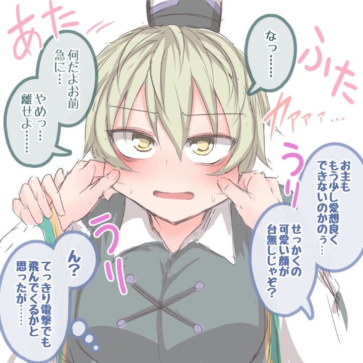 今年のまとめ① #10月25日は屠自古の日 