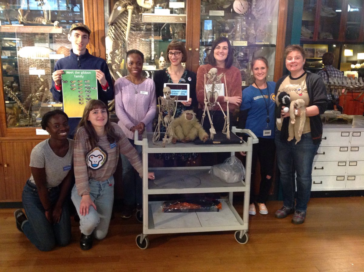 GrantMuseum's tweet photo. Team Gibbon celebrate taking over @GrantMuseum for International Gibbon Day #IGD2017 @IUCN_Gibbon which attracted 365 new #gibbonologists https://t.co/kGhEklf4Hz