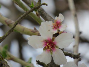qcom_es's tweet photo. 📝 #Opinión | Mejorar el paisaje agrario para conservar la naturaleza https://t.co/mjFF3dsbi4 por @FGlobalNature https://t.co/nbYHsyViTZ