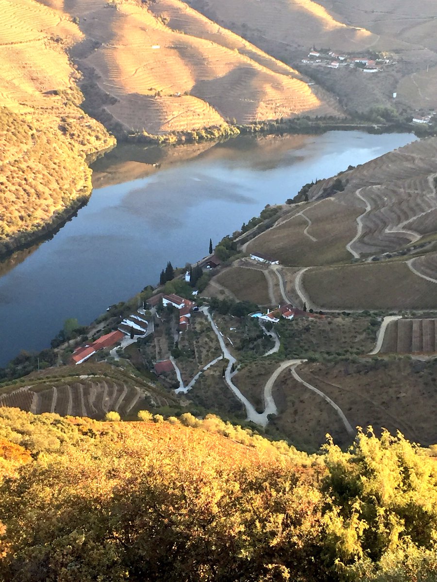 TheSpitter's tweet photo. It was a summer morning in the  Douro Valley today but it should be the fall. #TheFladgatePartnership  #homeofport #wheretimemovesslowly https://t.co/q8duL4AiIn