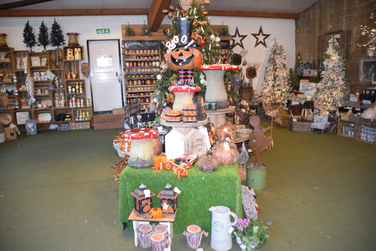 @farmercopley pumpkin festival is on every day until the 29th October. 10am til 4pm. Check out more details here farmercopleys.co.uk/event/pumpkin-…