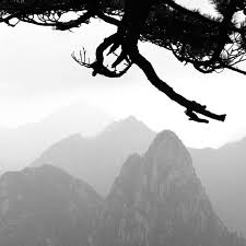 villederueil's tweet photo. Expo photo "Huangshan ou Montagnes Jaunes" de Philippe Sebillotte à la #Médiathèque de Rueil📸
Animation demain à 15h >> danse traditionnelle https://t.co/dxs5wBhPVd
