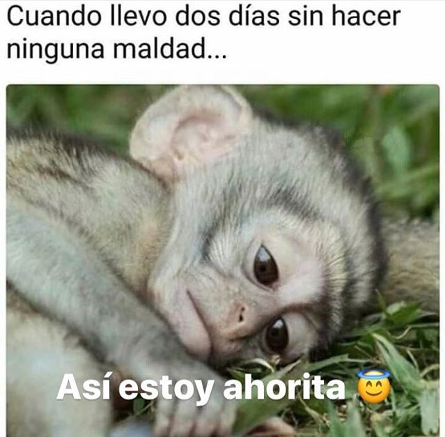 yimbergonzalez's tweet photo. Así mismo jaja https://t.co/4li76Cg4Pl