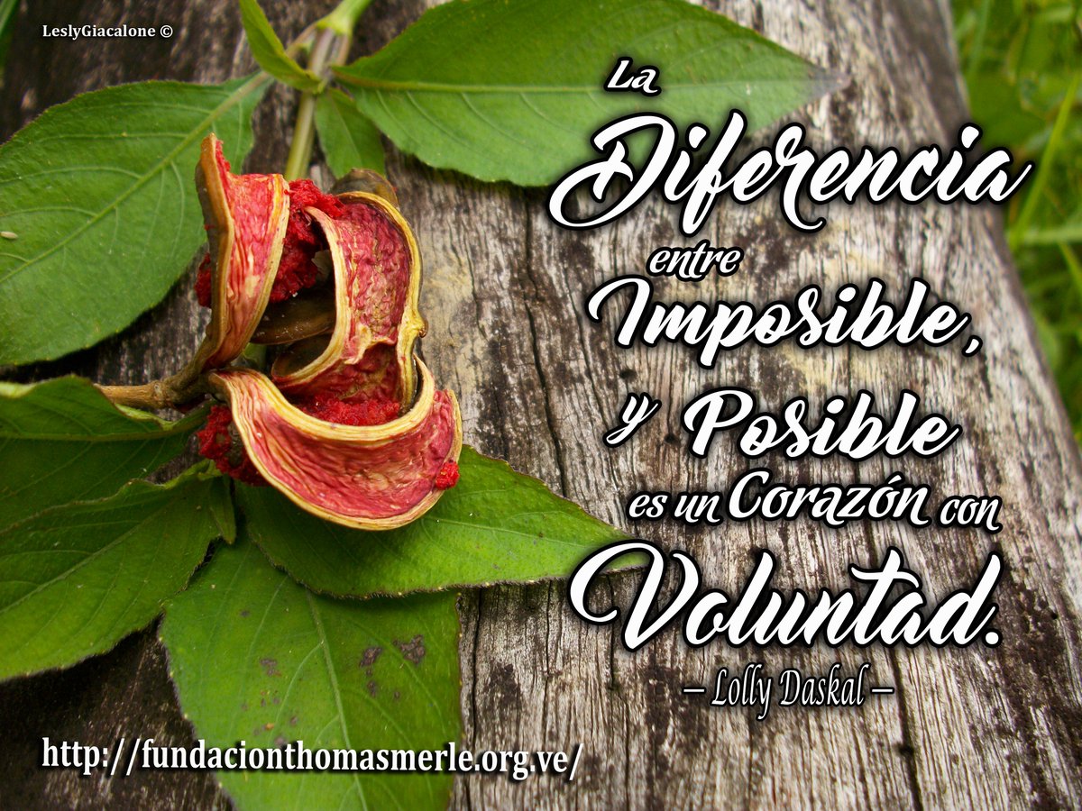 #educacionambiental, #ambiente, #fundacionthomasmerle, #frases #frasesbonitas