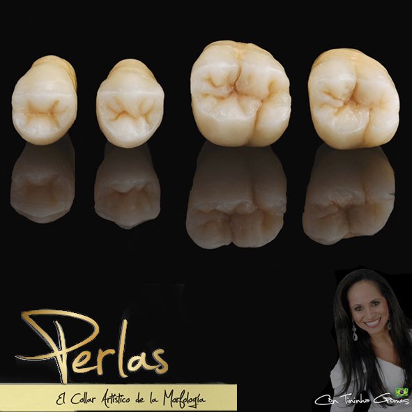 DentalEverest's tweet photo. #Tininha Gomes nos presentará su libro "#Perlas - El Collar Artístico de la #Morfología" en español, el día 18/11 XXIII Congreso de #AcaDen https://t.co/O8leU1BtZM