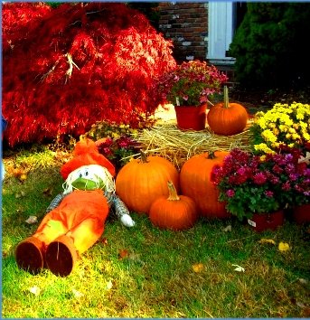 Pneuhook's tweet photo. @MsCapitolMch TY #MistyMays #CapitolMachine #Alabama The best #sales #service 4 #insulation #machines #dueces @cjairey Happy Fall #Vancouver https://t.co/w8EXuRganu