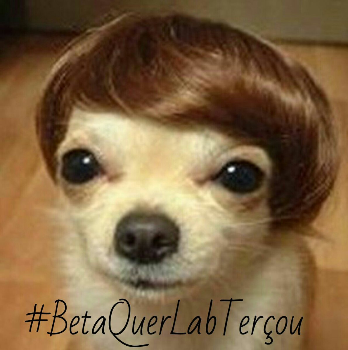 Boa Tarde
#BetaQuerLab
Este frio tá como? Alguém me empresta um cobertor por favor 😂😂
#BetaQuerLabTerçou
