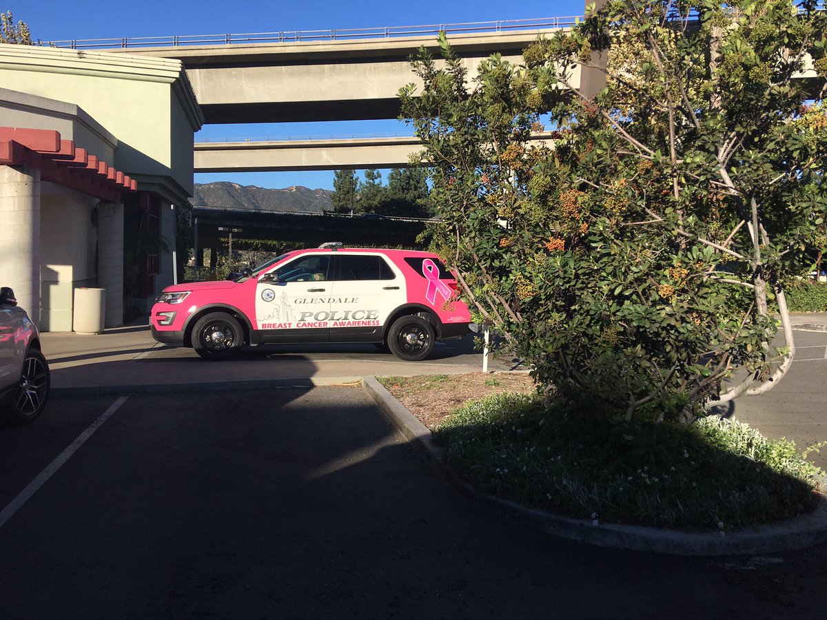 Yes! Love this so much! #BreastCancerAwarness #glendalepolice #PinkPolice #WomensHealth #BetterHealth #Health #ThisIsSoAwesome