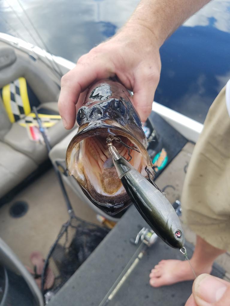 DGreeneFishing's tweet photo. #Trapper Trebles getting a workout. #TrapperTackle   #RigItLockItLandIt #Innovation #TeamTrapper #LandMoreFish #ICAST2017 #BestInShow https://t.co/PPxI5cLlaF