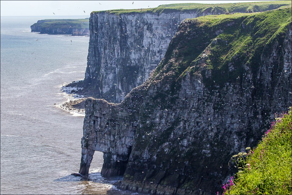 bedform's tweet photo. Last day to apply to come and work with us @GEESatHull - Lecturer in Geology: https://t.co/oxjx1np3Cs https://t.co/bc7gsLQiCr