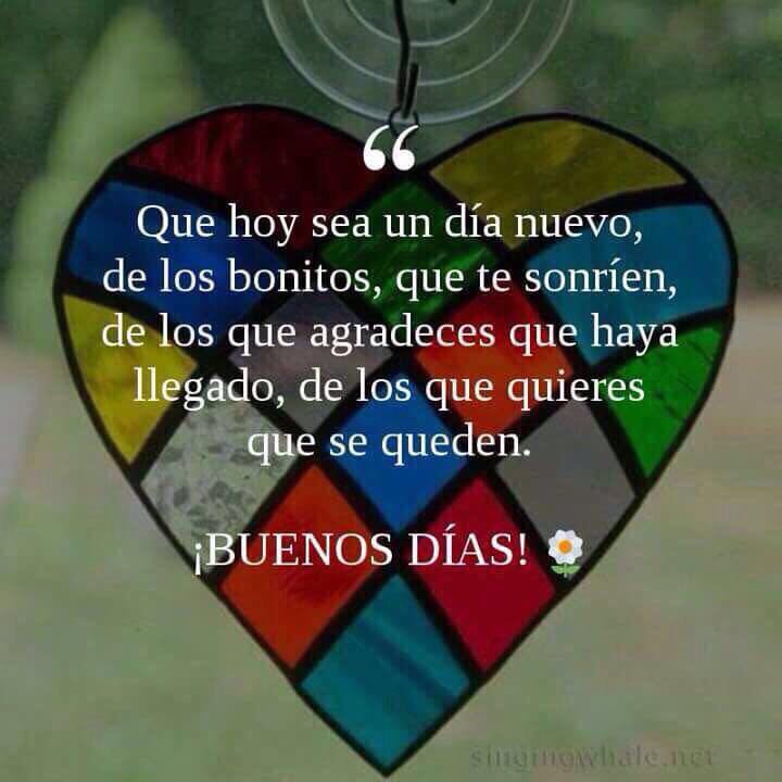 Gerdmus's tweet photo. No te afanes a las cosas,Dios nos tiene ya el camino,  trabaja el hoy en proyectos que te den  paz. https://t.co/QYDJwMxmql