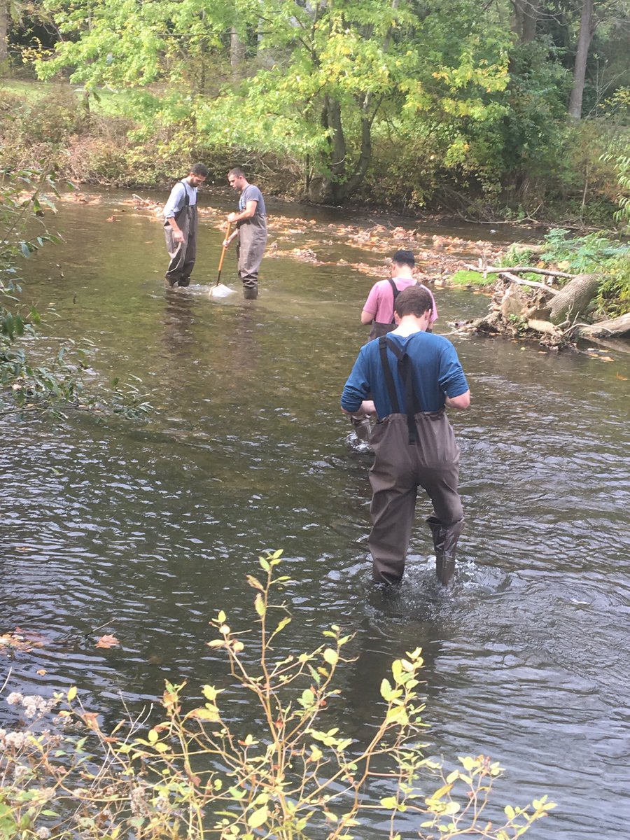 devonpoeEES's tweet photo. Searching for some macro invertebrates #ees152 https://t.co/dBSmxLer0i