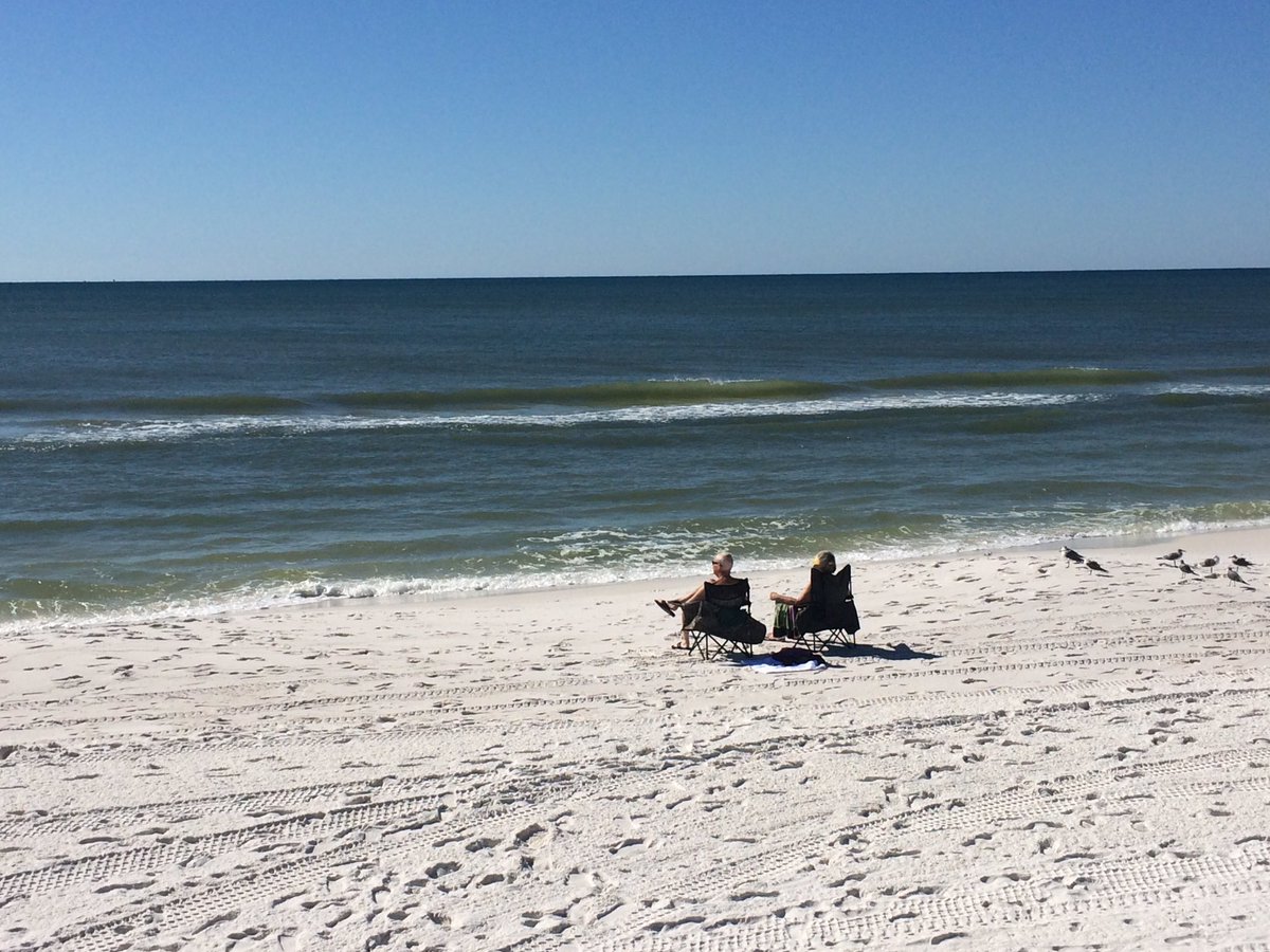 The Island FL tweet media