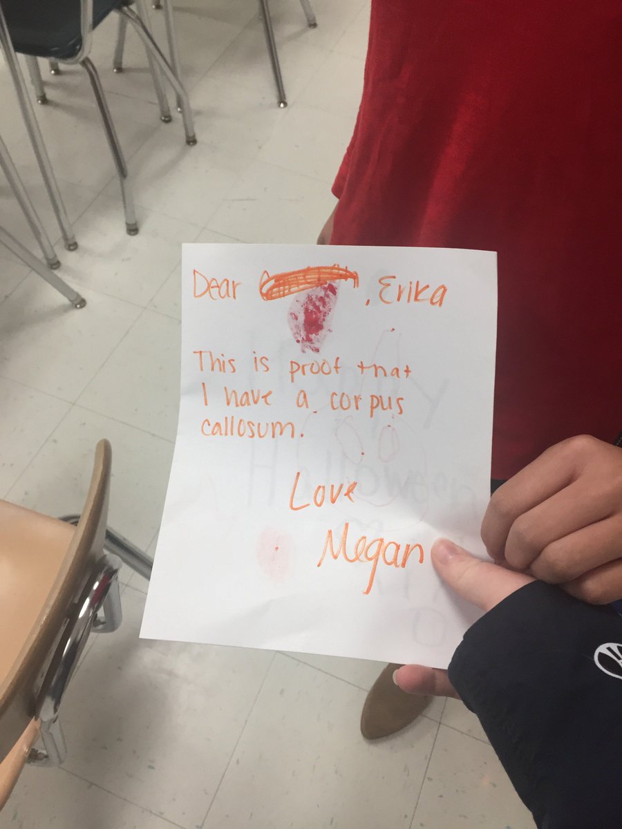 therealmegano's tweet photo. @thefixerED @SBHighSchool_nc #frontallobeissues https://t.co/wXEhnneP9t