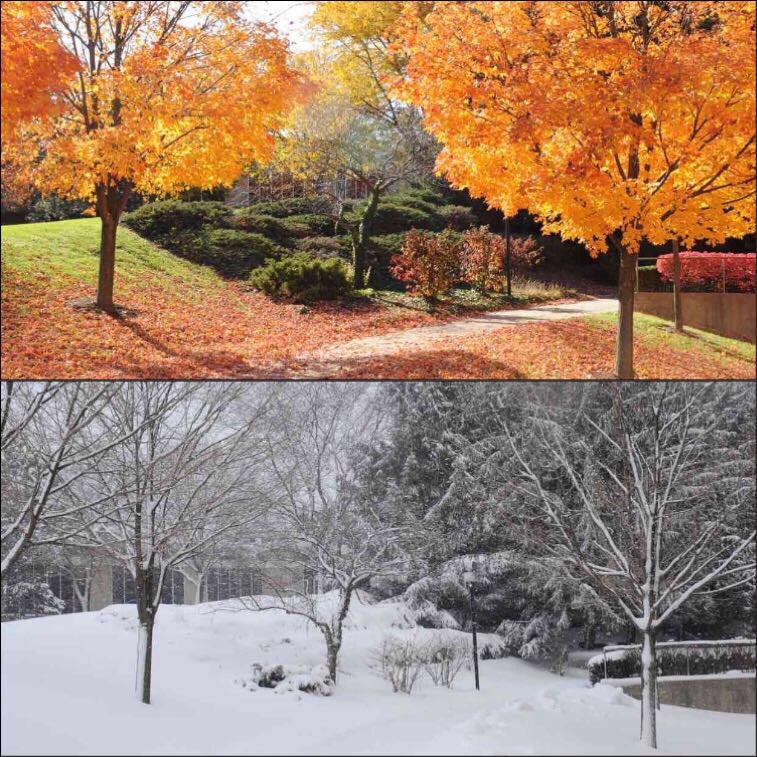sairangareddy1's tweet photo. How beautiful our campus is ππ@wrightstate @WSURaiders #fallvsspring #colorsvssnow https://t.co/yyBQgg3zAm