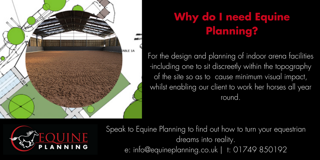 Equine Construction tweet media