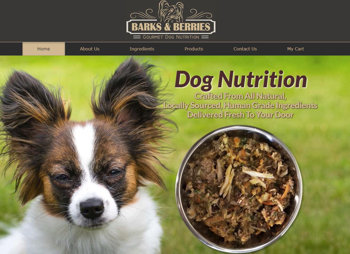 flusion's tweet image. Welcome barksandberries.com to the Flusion family!  We hope you enjoy your new, responsive website!