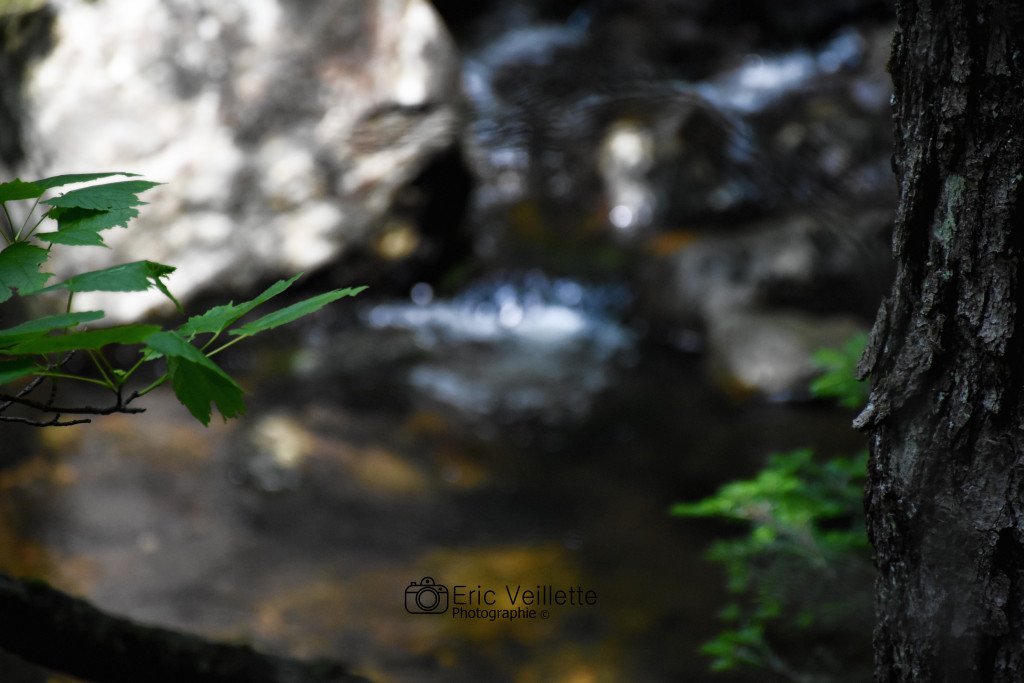 Eric_Veille's tweet photo. Nature https://t.co/xTY8fXLcvC https://t.co/BPn7rXA5p2