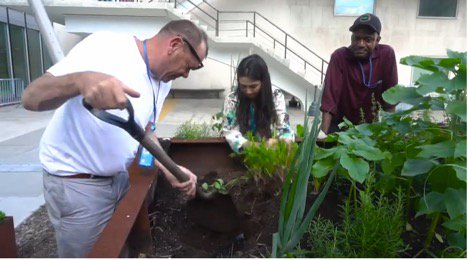 womensfunding's tweet photo. UN in action US: Growing food NYC #BrooklynGrange healthy communities & environment #UNFoodGardens #UNDay @UN https://t.co/4c9T76bbxD https://t.co/ilLVtnV1b3