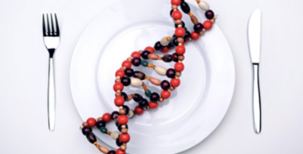 GeneticLiteracy's tweet photo. Nutrigenomics v Nutrigenetics: Using gene-diet interactions to tailor personal health regimens https://t.co/kMIx6LGQzG via @TodaysDietitian https://t.co/OIwPGKBZ94