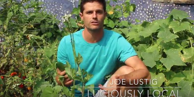 DenverGreenRoof's tweet photo. Thank you #LusciouslyLocal for supporting #DenverGreenRoof Initiative. Check out the video~> https://t.co/BfaVKixU5n and #VoteYes on #I300! https://t.co/m4EJq2Wmhz