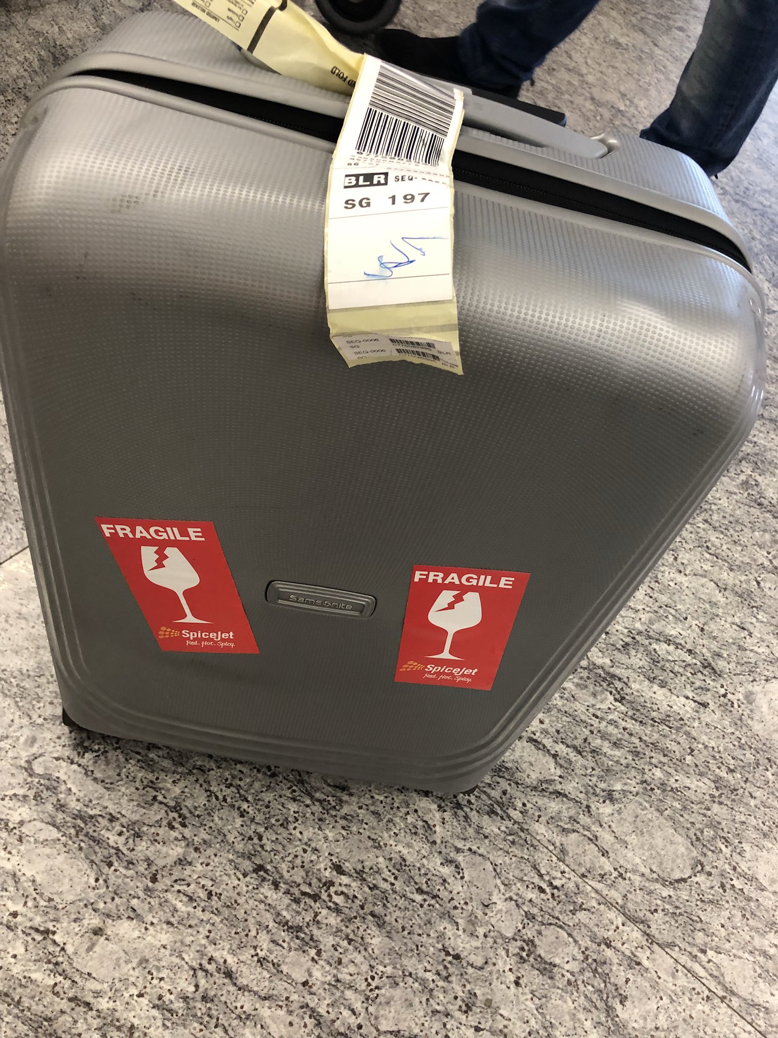 Putting 'Fragile' On Your Luggage Will Have Your Suitcase Come Out First -  Network Ten