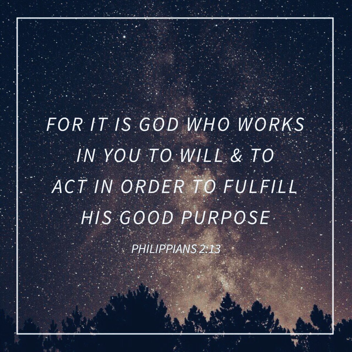 Ances Mulles tweet media